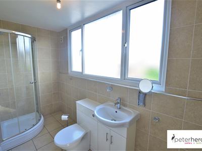 Jack and Jill Shower Room